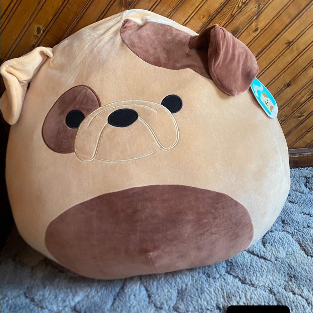 Squishmallow Griz the bulldog